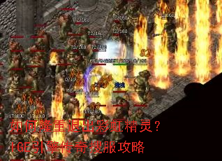 ���¡���˳��ʺ羫�飿IGE���洫���ѷ�����