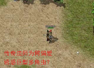 ���淨ʦΪ��ƫ���ջ���Ͷ�ǳ棿