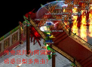 ���淨ʦΪ��ƫ���ջ���Ͷ�ǳ棿
