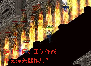 ��ʿ������Ŷ���ս�з��ӹؼ����ã�