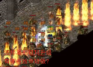 ��ʦ��ˢ������������Щ�����̰壿