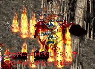 �����ڹ���ο���������������Щ��������ͻ��ƿ��