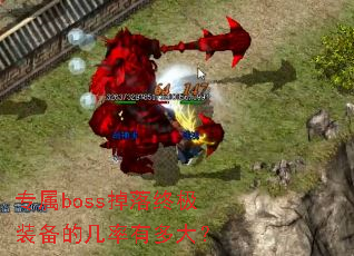 ר��boss�����ռ�װ���ļ����ж��