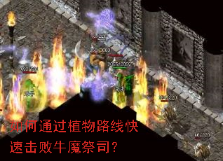 ���ͨ��ֲ��·�߿��ٻ���ţħ��˾��