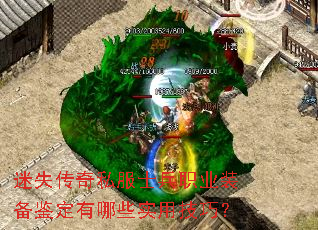 ��ʧ����˽��ʿ��ְҵװ����������Щʵ�ü��ɣ�