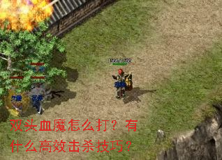 ˫ͷѪħ��ô����ʲô��Ч��ɱ���ɣ�