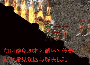 ��α���ű���ѭ����������Ϸ����������������
