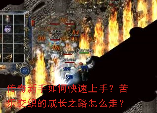 ����������ο������֣����ֽ�֯�ĳɳ�֮·��ô�ߣ�