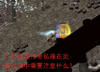 1.95��������˽��������ɳĮ����Ҫע��ʲô��
