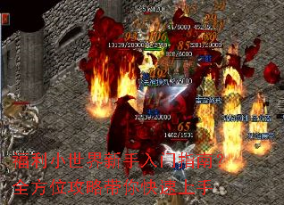 ����С������������ָ�ϣ�ȫ��λ���Դ����������