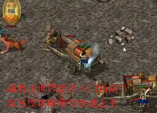 ����С������������ָ�ϣ�ȫ��λ���Դ����������