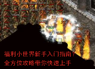 ����С������������ָ�ϣ�ȫ��λ���Դ����������