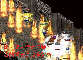 ��γ�Ϊ���淨ʦ���ҵĳɳ�֮·ȫ����