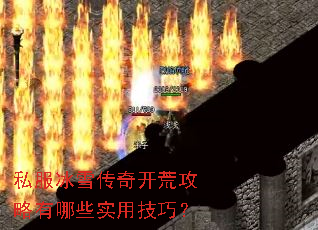 ˽����ѩ���濪�Ĺ�������Щʵ�ü��ɣ�