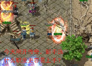����տ����棬����ѡʲôְҵ���������֣�