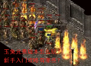 ����Ԫ�ذ汾��ô�棿�������Ź�������Щ��