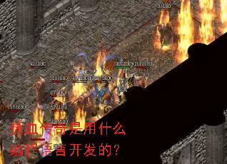 ��Ѫ��������ʲô������Կ����ģ�