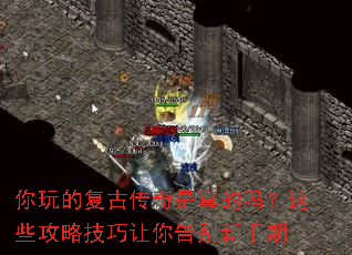 ����ĸ��Ŵ������������Щ���Լ���������������