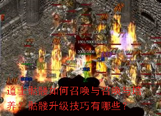 ��ʿ��������ٻ����ٻ�������������������������Щ��