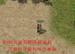 BOSS�����к����ظ�����ע�ἴ�ͺ����������