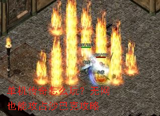 ����������ô�棿����Ҳ�ܹ�ռɳ�Ϳ˹���