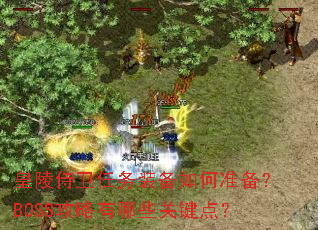 ������������װ�����׼����BOSS��������Щ�ؼ��㣿