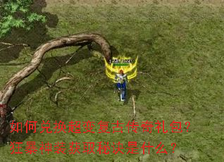��ζһ����临�Ŵ������������װ��ȡ�ؾ���ʲô��