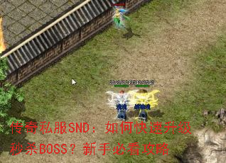 ����˽��SND����ο���������ɱBOSS�����ֱؿ�����