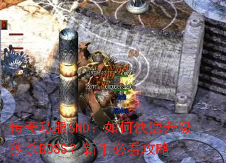 ����˽��SND����ο���������ɱBOSS�����ֱؿ�����