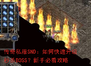 ����˽��SND����ο���������ɱBOSS�����ֱؿ�����