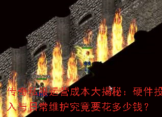 ����˽����Ӫ�ɱ�����أ�Ӳ��Ͷ�����ճ�ά������Ҫ������Ǯ��