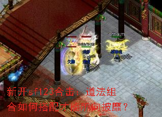 �¿�sf123�ϻ������������δ�������������ң�