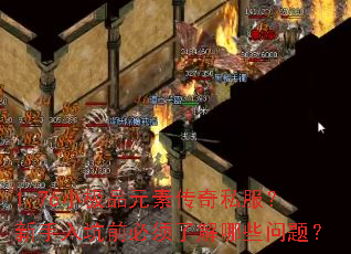 1.76С��ƷԪ�ش���˽�����������ǰ�����˽���Щ���⣿