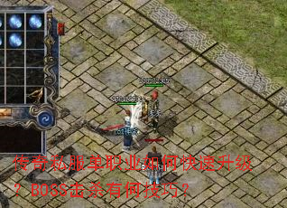 ����˽����ְҵ��ο���������BOSS��ɱ�кμ��ɣ�