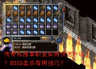 ����˽����ְҵ��ο���������BOSS��ɱ�кμ��ɣ�
