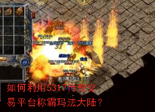 �������5317���潻��ƽ̨�ư��귨��½��