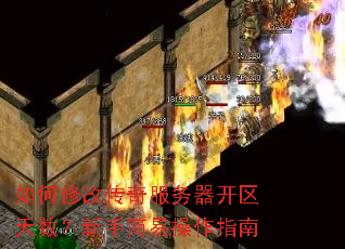 ����޸Ĵ���������������������ּ��ײ���ָ��