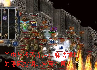 �����������������Խ�ָ�������ھ�㾿�����ģ�