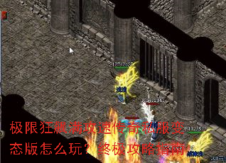 ���޿�������ٴ���˽����̬����ô�棿�ռ�����ָ��