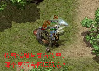 传奇私服与官方传奇,哪个更适合怀旧玩家? 传奇私服与官方传奇,哪个更适合怀旧玩家?