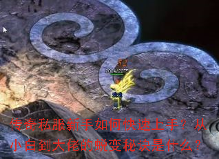 传奇私服新手如何快速上手?从小白到大佬的蜕变秘诀是什么? 传奇私服新手如何快速上手?从小白到大佬的蜕变秘诀是什么?