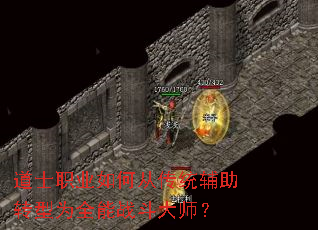 ��ʿְҵ��δӴ�ͳ����ת��Ϊȫ��ս����ʦ��