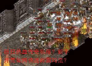 ��ɨ��Ѫ����˽�������ֿ�����ο��ٳư��귨��