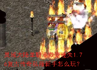 �����½��ְҵ΢����ʧ1.76���Ŵ���˽��������ô�棿