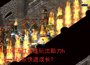 如何通过合理玩法助力haosf玩家快速成长? 如何通过合理玩法助力haosf玩家快速成长?