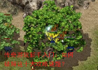 ������Ϸ�������ţ�����ƽ���ʮ�������⣿
