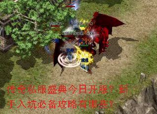 ����˽��ʢ����տ�����������ӱر���������Щ��