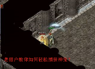 ���Ի�����������ɲ�����裿