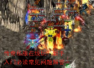 ����˽�������棿�������űض�����������