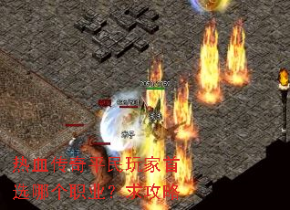 ��Ѫ����ƽ�������ѡ�ĸ�ְҵ������